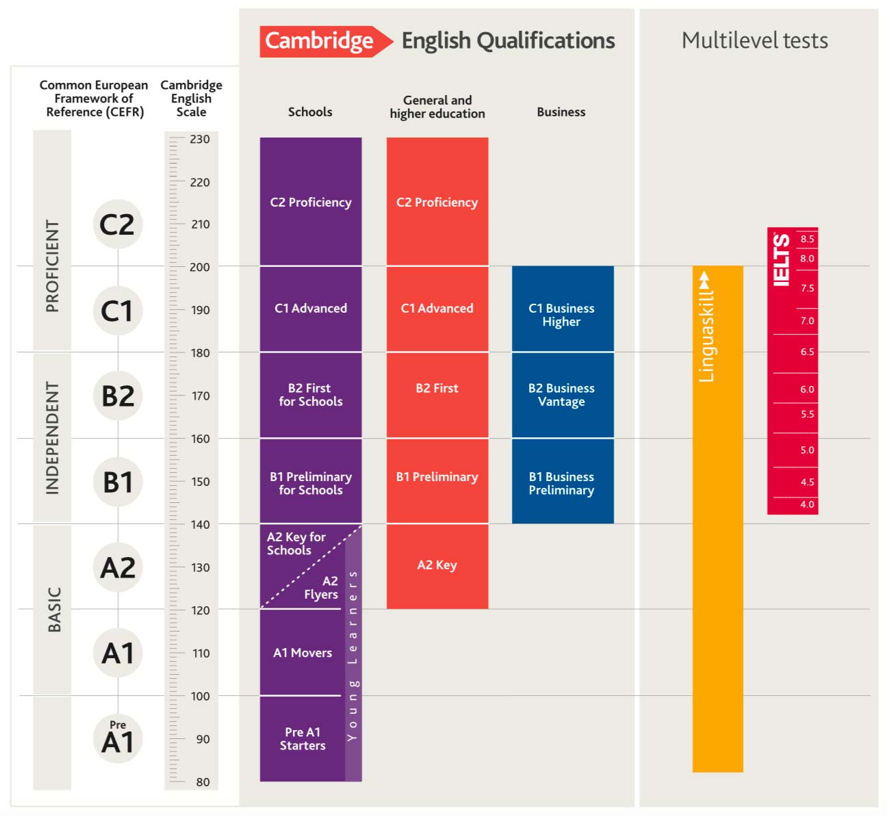 web grafico linguaskill scheda prodotto55886 enrico 11