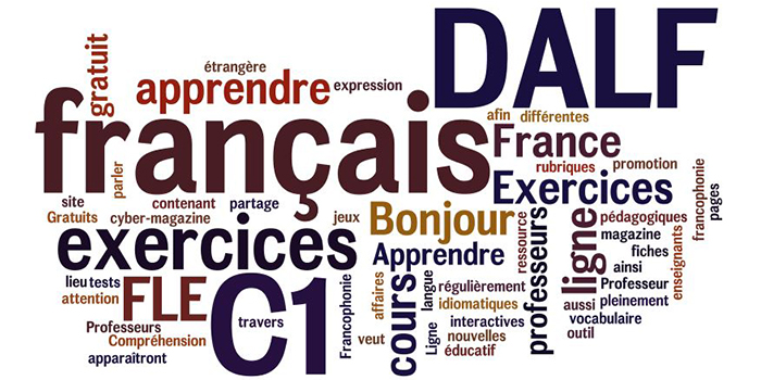 delf dalf actu copy dr